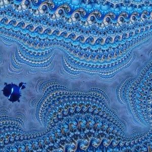 Meet your Posher, Simone